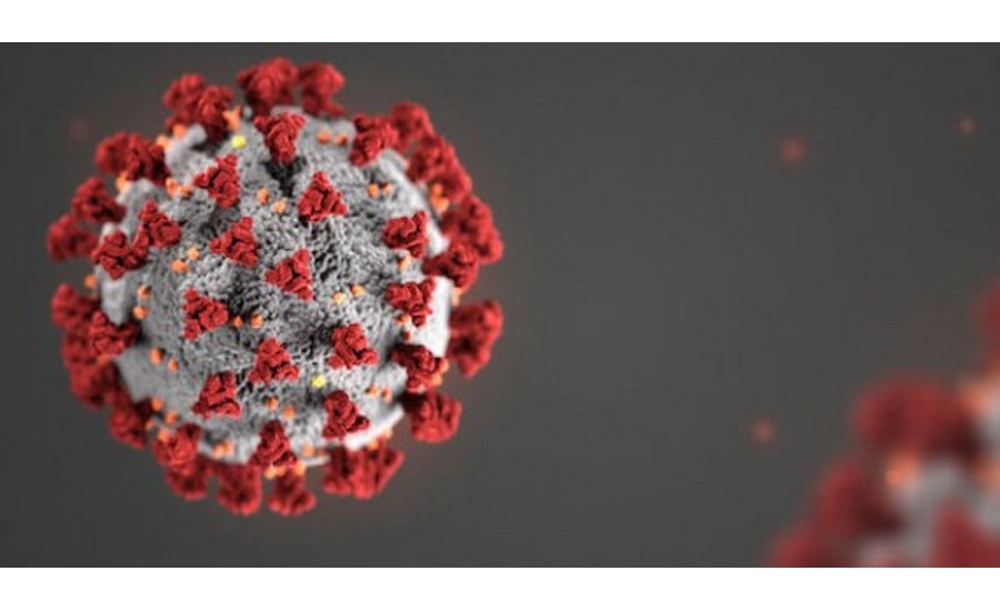 Coronavirus Image3