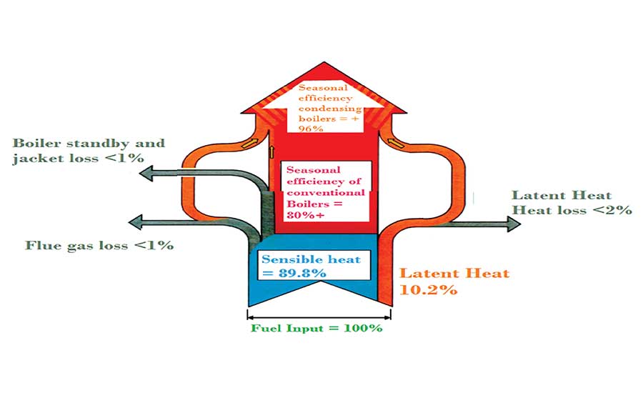 FIGURE 3. A typical hot water system