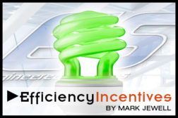 Efficiency Incentives
