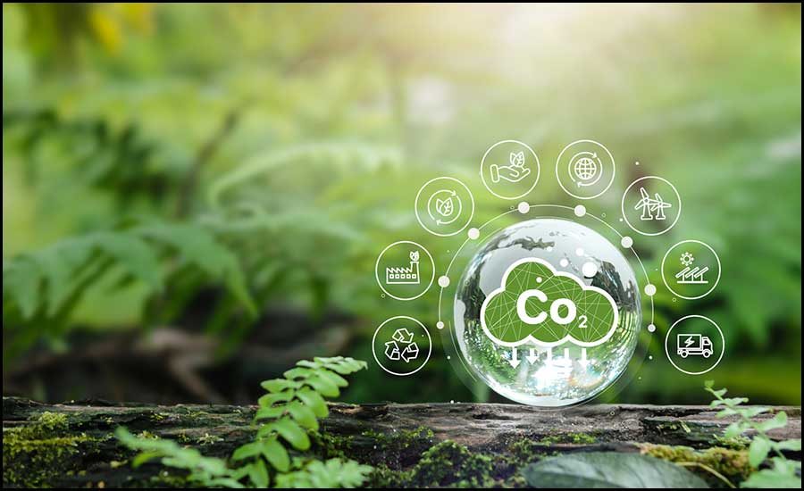 co2 graphic with a forest backdrop